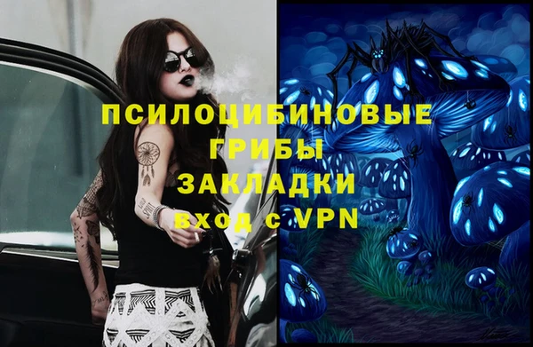 стаф Россошь