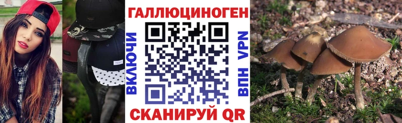 Галлюциногенные грибы Cubensis  Южа 